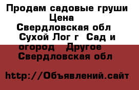 Продам садовые груши    › Цена ­ 200 - Свердловская обл., Сухой Лог г. Сад и огород » Другое   . Свердловская обл.